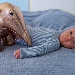 IMG 572